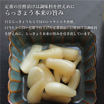 【お歳暮ギフト】鹿児島県産 白宝らっきょう(90g×10P)