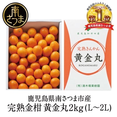 ◆先行受付◆ 2月～3月末発送【鹿児島県南さつま市産】完熟金柑 黄金丸 約2kg(L～2L)