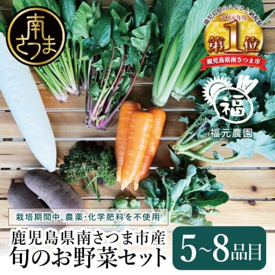 【鹿児島県南さつま市産】福元農園 旬のお野菜 おまかせセット 1箱(5～8品目)野菜 詰め合わせ
