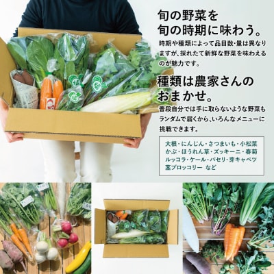 【鹿児島県南さつま市産】福元農園 旬のお野菜 おまかせセット 1箱(5～8品目)野菜 詰め合わせ
