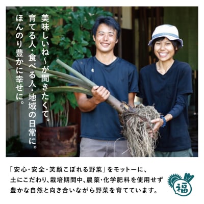 【鹿児島県南さつま市産】福元農園 旬のお野菜 おまかせセット 1箱(5～8品目)野菜 詰め合わせ