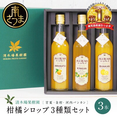 柑橘シロップ 3本セット<金柑・甘夏・河内バンカン>