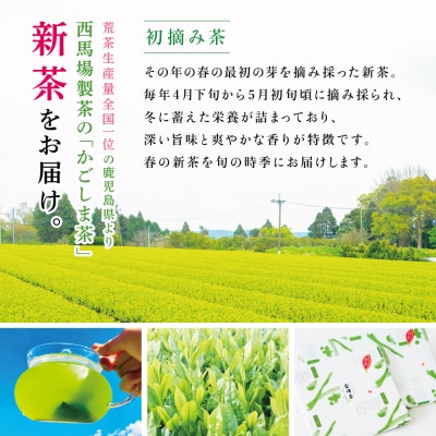 【新茶】 初摘み茶4本セット <2026年:5月中旬出荷開始> 西馬場製茶