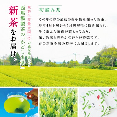 【新茶】 初摘み茶4本セット ＜2026年:5月中旬出荷開始＞ 西馬場製茶