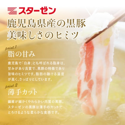 【定期便 全5回】鹿児島県産 黒豚しゃぶしゃぶ定期便 計1.5kg×5回 冷凍 スターゼン