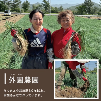 ◆5月上旬頃出荷開始◆【鹿児島県南さつま市産】加世田の砂丘生ラッキョウ 約5kg