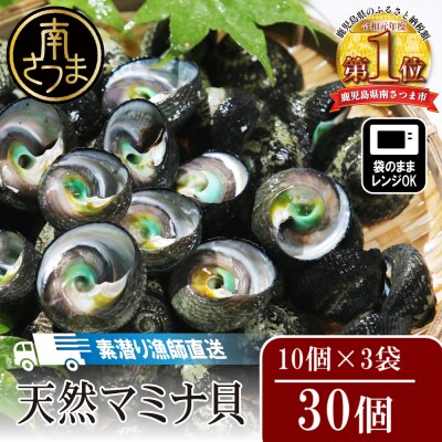 【素潜り漁師直送】【袋に入った冷凍のままでレンジ対応】【南さつま市　笠沙産　天然マミナ貝】