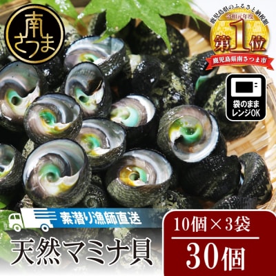 【素潜り漁師直送】【袋に入った冷凍のままでレンジ対応】【南さつま市　笠沙産　天然マミナ貝】