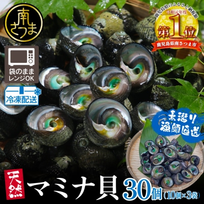 【素潜り漁師直送】【袋に入った冷凍のままでレンジ対応】【南さつま市　笠沙産　天然マミナ貝】