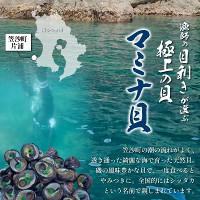 【素潜り漁師直送】【袋に入った冷凍のままでレンジ対応】【南さつま市　笠沙産　天然マミナ貝】