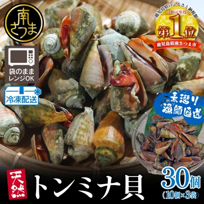 【素潜り漁師直送】【袋に入った冷凍のままでレンジ対応】【南さつま市　笠沙産　天然トンミナ貝】