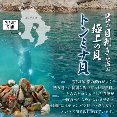 【素潜り漁師直送】【袋に入った冷凍のままでレンジ対応】【南さつま市　笠沙産　天然トンミナ貝】