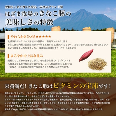 鹿児島県産「きなこ豚」しゃぶしゃぶ用 3種類 計1.5kg スターゼン