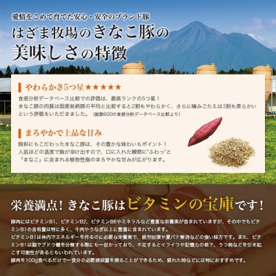 鹿児島県産「きなこ豚」豚こま切れ2.5kg(500g×5袋) スターゼン