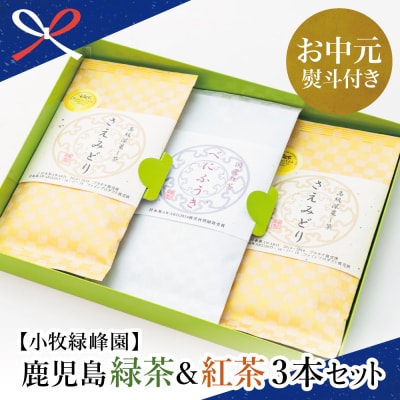 【お中元ギフト】【日本茶AWARD受賞】鹿児島緑茶と紅茶のセット(計250g)