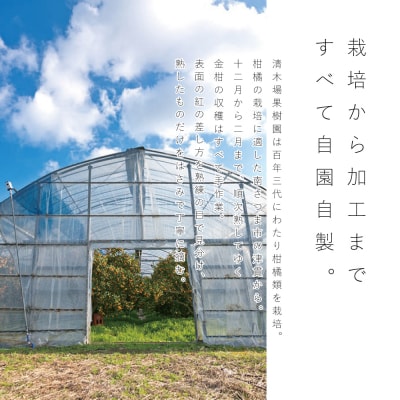 【お中元ギフト】【鹿児島県南さつま市産】完熟金柑 黄金丸(冷凍保存)