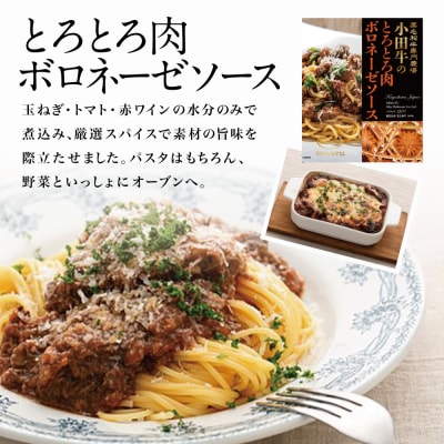 【プレミアムブランド】鹿児島県産黒毛和牛「小田牛」 ボロネーゼソース 3食(160g×3)