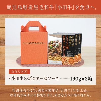 【プレミアムブランド】鹿児島県産黒毛和牛「小田牛」 ボロネーゼソース 3食(160g×3)