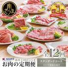 【定期便 全12回】情熱牧場 鹿児島県産お肉の定期便 スタンダードコース
