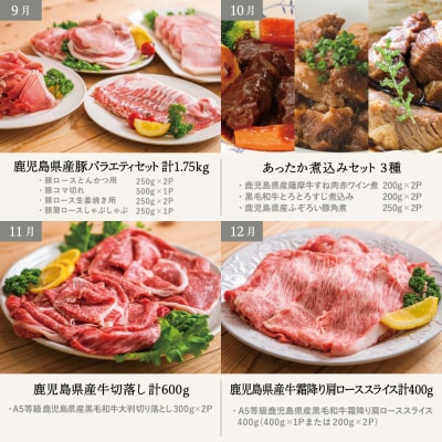 【定期便 全12回】情熱牧場 鹿児島県産お肉の定期便 スタンダードコース