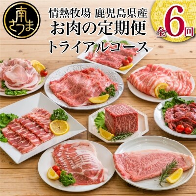 情熱牧場 鹿児島県産お肉の定期便 トライアルコース 全6回 お礼品詳細 ふるさと納税なら さとふる 情熱牧場 鹿児島県産お肉の定期便 トライアルコース 全6回 お礼品詳細 ふるさと納税なら さとふる