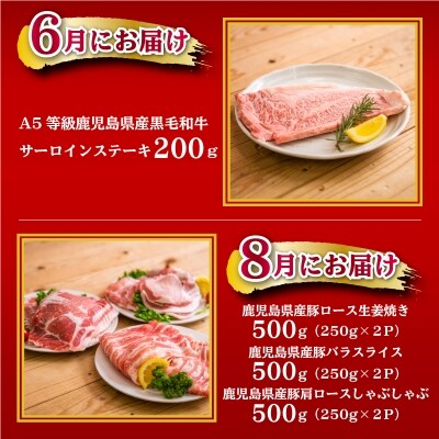 情熱牧場 鹿児島県産お肉の定期便 トライアルコース 全6回 お礼品詳細 ふるさと納税なら さとふる 情熱牧場 鹿児島県産お肉の定期便 トライアルコース 全6回 お礼品詳細 ふるさと納税なら さとふる