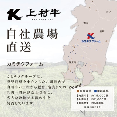【自社ブランド牛】鹿児島県産 上村牛すき焼き・しゃぶしゃぶ用 厳選部位600g(200g×3P)