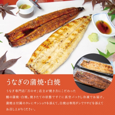 【鹿児島県産】うなぎの「万のせ」鰻満喫セット(4種)