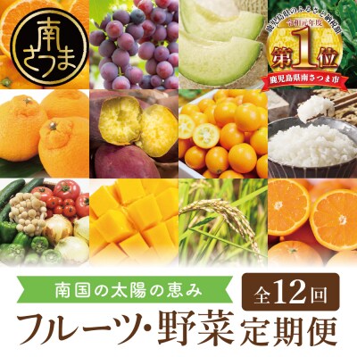 【定期便】南国の恵み 旬のフルーツ・野菜定期便(全12回) 米 ぶどう マンゴー メロン 柑橘 果物