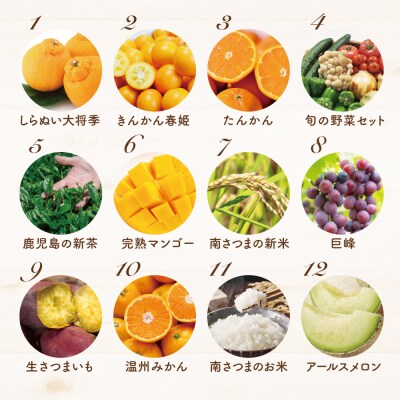 【定期便】南国の恵み 旬のフルーツ・野菜定期便(全12回) 米 ぶどう マンゴー メロン 柑橘 果物
