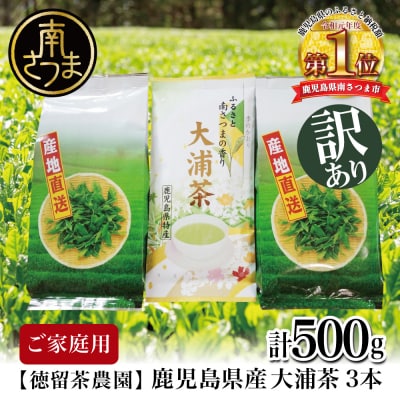 【ご家庭用】鹿児島県産緑茶 大浦茶 3本セット 計500g 緑茶 茶葉 お茶 煎茶 鹿児島茶