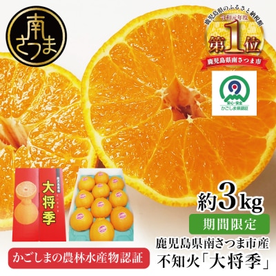 【南さつま市金峰町産】 ブランド不知火「大将季」 約3kg入り化粧箱 (8玉～12玉)