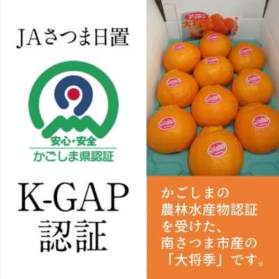 南さつま市金峰町産  ブランド不知火「大将季」 約3kg入り化粧箱 (8玉～12玉) しらぬい