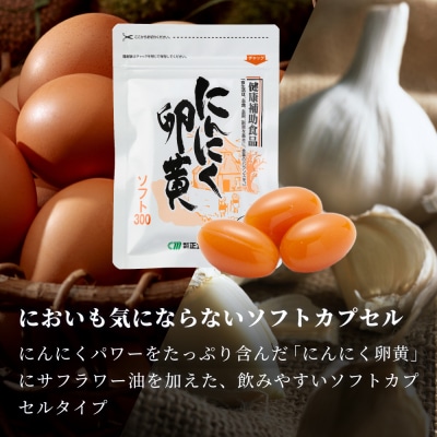 【健康補助食品】にんにく卵黄ソフト300(62粒入り×3袋)