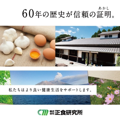 【健康補助食品】にんにく卵黄ソフト300(62粒入り×3袋)