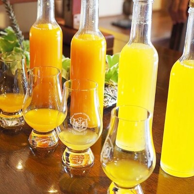 【鹿児島県産】柑橘フルーツシロップ 300ml×7本セット