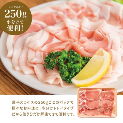 【鹿児島県産】 豚ロース しゃぶしゃぶ用 計2kg (小分け250g×8パック)