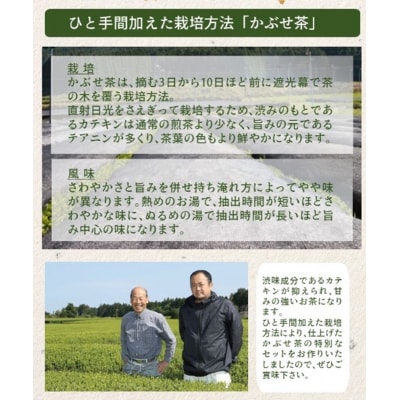 【鹿児島県産緑茶】かぶせ茶 かせだみどり(80g×5袋) 茶葉 5本セット 贈答 ギフト