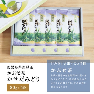 【鹿児島県産緑茶】かぶせ茶 かせだみどり(80g×5) 贈答用 国産 南さつま市