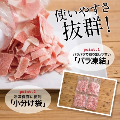 【定期便:2ヶ月に1度】鹿児島県産 豚こま切れ定期便 2kg×3回(合計6kg)