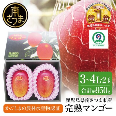 【先行受付:5月～6月発送】鹿児島県産 完熟マンゴー 3～4Lサイズ 2玉(化粧箱入り) 期間限定