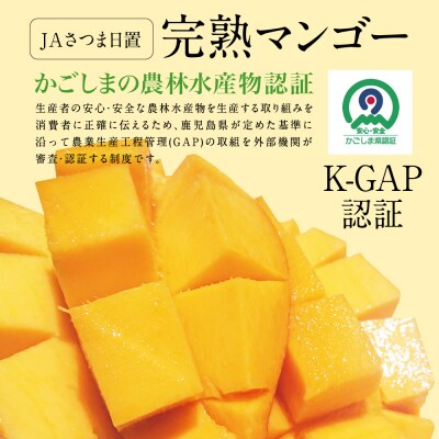 【先行受付:5月～6月発送】鹿児島県産 完熟マンゴー 3～4Lサイズ 2玉(化粧箱入り) 期間限定