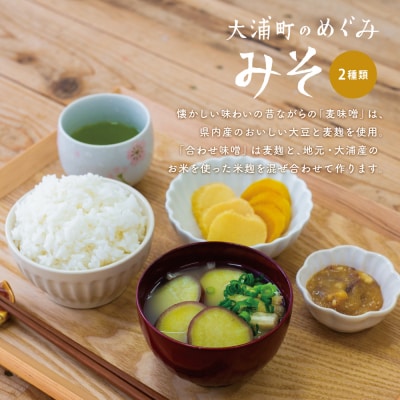 【鹿児島県産大豆使用】麦味噌・合わせ味噌詰合せ 計4.8kg (800g×6袋) 麦みそ 調味料