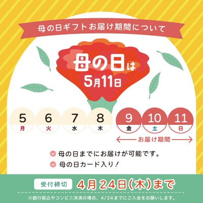 【母の日ギフト】鹿児島産黒豚バラエティセット 4種(焼豚・ハム・ソーセージ)コワダヤ 贈り物
