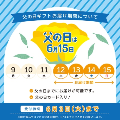 【父の日ギフト】鹿児島産黒豚バラエティセット 4種(焼豚・ハム・ソーセージ)