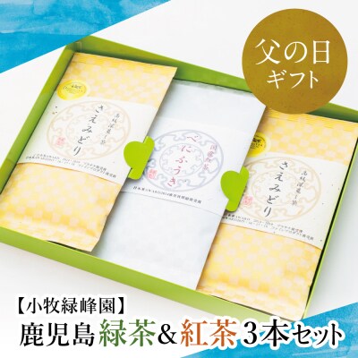【父の日ギフト】【日本茶AWARD受賞】鹿児島緑茶と紅茶のセット(計250g)