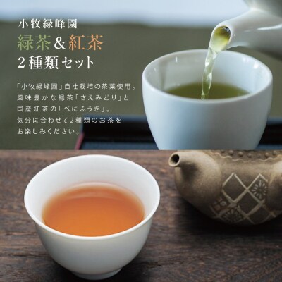 【父の日ギフト】【日本茶AWARD受賞】鹿児島緑茶と紅茶のセット(計250g)