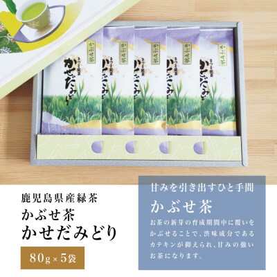 【お中元ギフト】鹿児島県産緑茶 かぶせ茶 かせだみどり(80g×5袋) 贈答用 国産 南さつま市