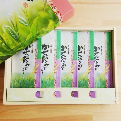 【お中元ギフト】【鹿児島県産緑茶】 かせだみどり(80g×5袋) 2025年産