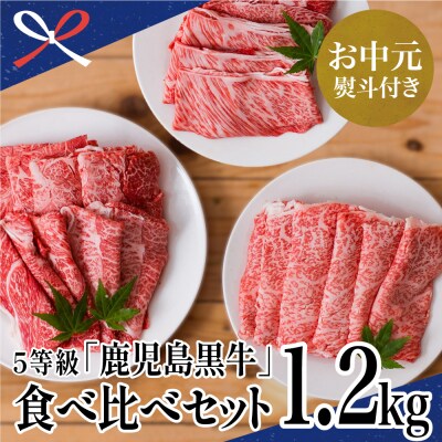ふるさと納税 南さつま市 【鹿児島黒牛】JA食肉かごしま 黒毛和牛 5